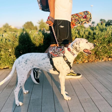 Design, Köpek Sırt Çantası – Su Geçirmez, Göğüs Tasması Fonksiyonlu, Ayarlanabilir, Skull Çantalı Göğüs Tasması Large