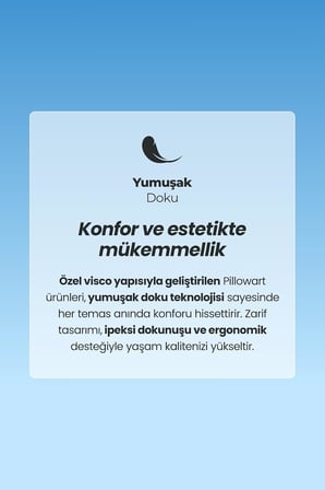 Ortopedik Koltuk Yükseltici Araba Minderi – Siyatik Ağrı Giderici