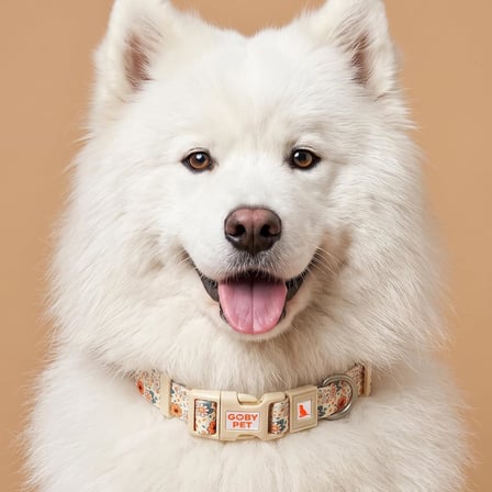 GOBYPET Desenli Köpek Boyun Tasması 25 mm, Ayarlanabilir 39-55 cm, Güçlendirilmiş Emniyet Kilitli Toka, Paslanmaz Metal D Halka, Dayanıklı Kumaş, Günlük Kullanım, Yürüyüş ve Eğitim İçin