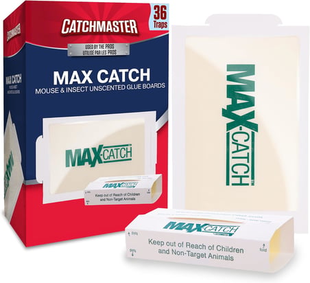 Max-Catch Fare ve Böcek Tutkal Tuzağı 36 Paket, Ev için Fare Kapanı İç Mekan, Böcekleri, Sıçanları ve Kemirgenleri Yakalamak için Yapışkan Tepsi, Toksik Olmayan Dökme Kokusuz Tutkal