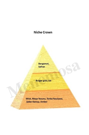 Niche Gold Crown Unisex Extrait De perfume 100 ml