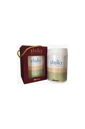 Stella Su Bazlı Saf Akrilik Boya Tüm Renkler 0,5Lt Her Yeri Boyar