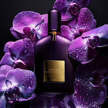 Tom Ford Velvet Orchid EDP Bayan Parfüm 100 ml