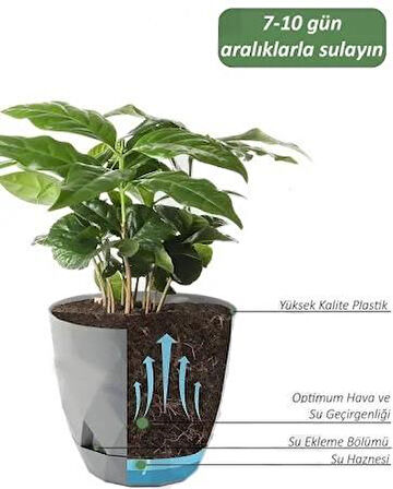Omnipazar KRS-452 Yakamoz Tabaklı Plastik Saksı Takımı 1.3 Litre No 2