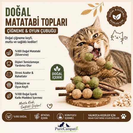 Matatabi Toplu Kedi Oyuncağı – Doğal Çiğneme ve Oyun Çubuğu