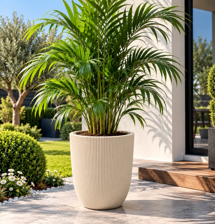 Omnipazar SO-PALM3 Palmiye Dekoratif Plastik Saksı İç Kovalı 30 LT NO: 3
