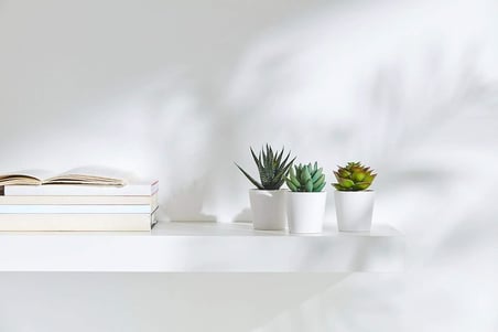 Fejka Yapay Saksı Bitkisi Saksılı İç Mekan Dış Mekan Etli / 3'lü Paket Boyutu 2 ¼ " 3'lü Paket 203.953.31