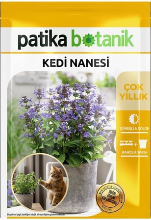 100 Adet Kedi Nanesi Çiçek Tohumu