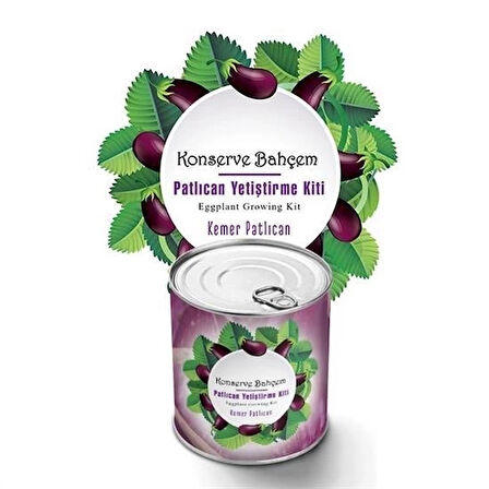 İpek Yıldızı® Konserve Bahçem Evde Konservede Kemer PatlıcanYetiştirme Kiti