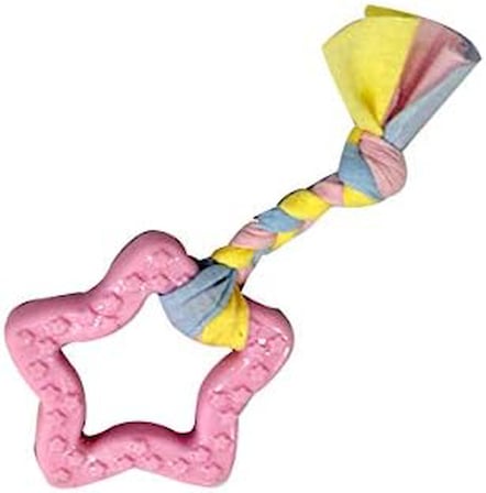 Puppy Mavi Beşgen Diş Kaşıma Oyuncağı 16cm