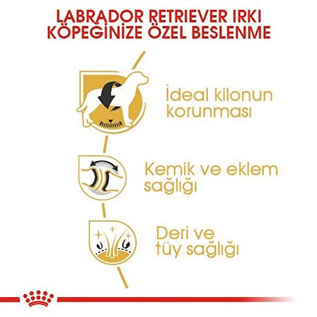 Royal Canin Labrador Retriever Yetişkin Kuru Köpek Maması 12kg