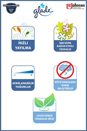 Elektrikli Oda Kokusu Kit Bahar Çiçekleri + Banyo Hava Tazeleyici & Yedek Lavanta Ferahlığı 10ml