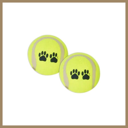 Bezos WP-6331 Pet Tenis Oyun Topu 2 li 1 Adet 22