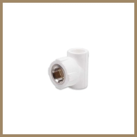 Bezos pprc 20mm1/2 İç Dişli T 1 Adet 22
