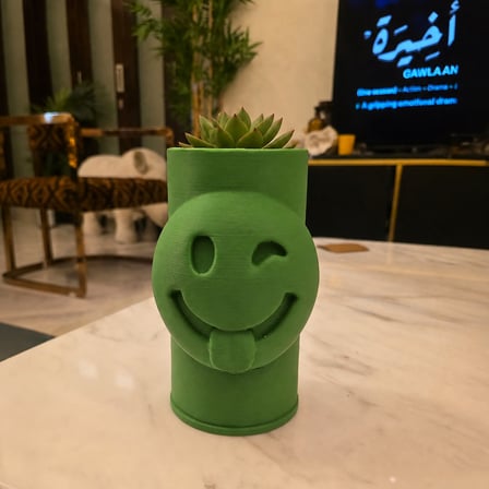 Bezos 3D Baskı Emoji Planter - Göz Kırpan Yüzlü Sukulent Saksısı-Yeşil 22