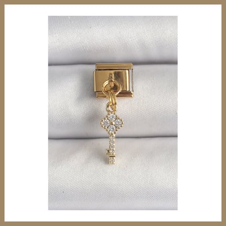 Bezos 316L Çelik Gold Renk Sallantı Zirkon Taşlı Anahtar Model Nomination Charm 22