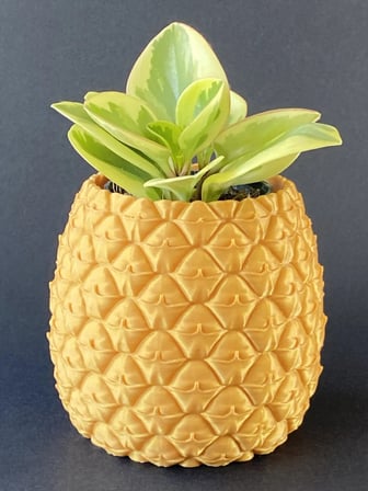 Bezos 3D Baskı Ananas Formlu Saksı ve Kalemlik Kabartma Dokulu Sukulent Saksısı Masaüstü Bitki ve Kalem Tutucu 22