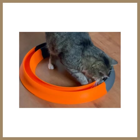 Bezos 3D Baskı Kediler İçin Halka Şeklinde Toplu Parkur Oyuncağı Yuvarlak Toplu Kedi Oyuncağı Turuncu 22