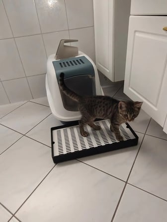 Bezos 3D Baskı Kedi Kumu Tutucu Mat Kedi Tuvaleti Önü Kum Toplayıcı Delikli Paspas Siyah Beyaz 22