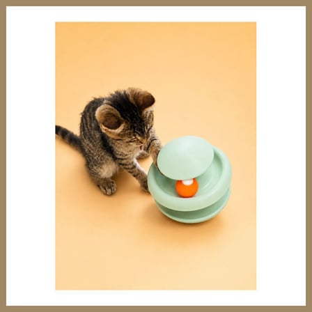 Bezos 3D Baskı İki Toplu Kedi Oyuncağı Kule Etkileşimli Kedi Oyun Kulesi Toplu Parkur - Yeşil 22
