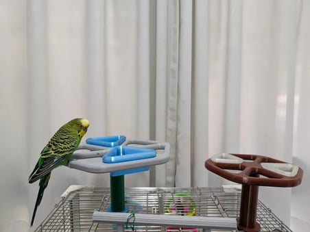 Bezos 3D Baskı Dönebilen Kuş Yemliği ve Oyuncağı Muhabbet Kuşu ve Papağan Oyun Standı Etkileşimli Kuş Yemliği 22