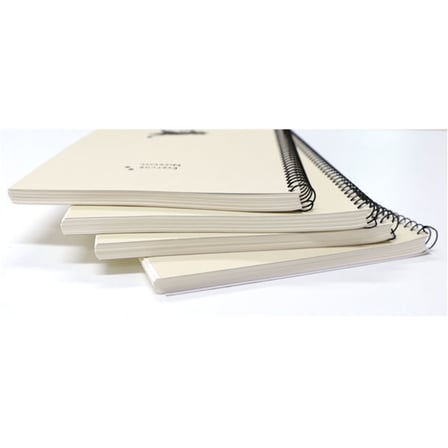 Morning Glory 3500 Çizgisiz Not Defteri 25,4x18,4 cm Sevilen Kedi 14000-89870