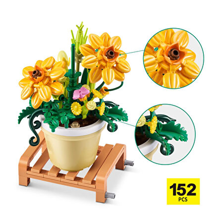Max Saksı Bitkileri Kozmos CDU15-83183GQ1