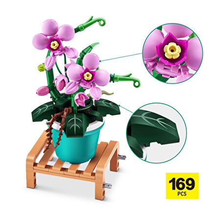 Max Saksı Bitkileri Ay Orkidesi CDU15-83183GQ1