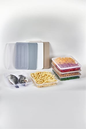 1 Adet Saklama Kabı Organizer Büyük Boy DeepFreezer (2.4 LT)