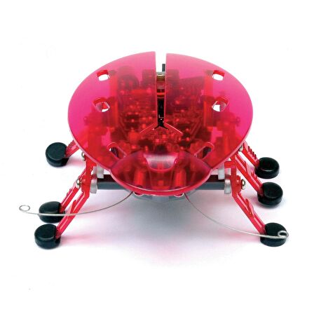 Hexbug Böcek - Pembe