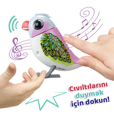 Digibirds Tekli Paket Seri 2 - Model 3-SIL/88620-03