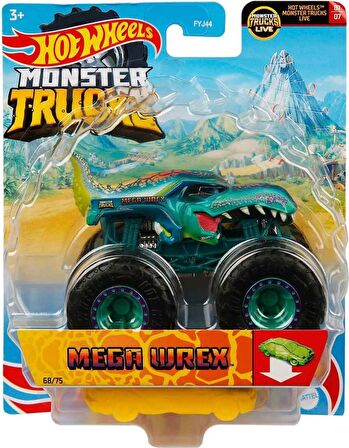 Hot Wheels 1:64 Monster Trucks Arabalar HHG75