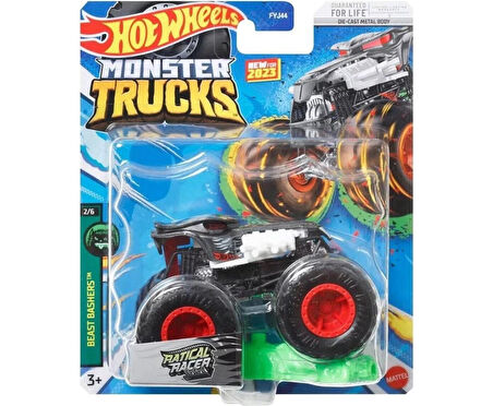 Hot Wheels 1:64 Monster Trucks Arabalar HLR85