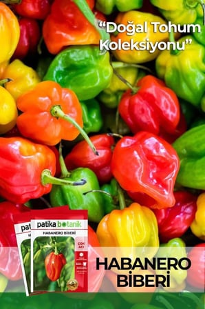 20 adet Habanero Biber Tohumu