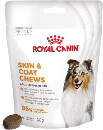Skin &amp; Coat Yetişkin Köpek Maması 240 G