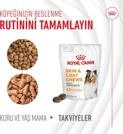 Skin &amp; Coat Yetişkin Köpek Maması 240 G
