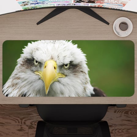 Kartal Oyuncu Gaming Mouse Pad Kauçuk Kaymaz Taban Mousepad (V1, 70x30 XL)