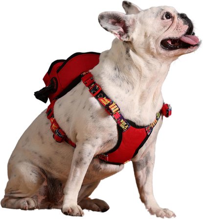 Gimme Five Kırmızı Çantalı Göğüs Tasması,Köpek Sırt Çantası – Göğüs Tasması İşlevli, Geri Dönüştürülmüş Malzeme, Ayarlanabilir, Çok Cepli, 5 Renk Seçenekli, Small Recycled