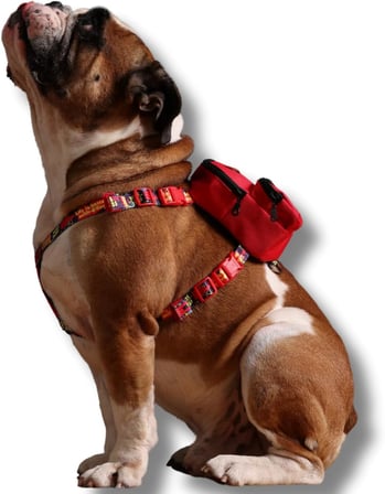 Gimme Five Kırmızı Çantalı Göğüs Tasması,Köpek Sırt Çantası – Göğüs Tasması İşlevli, Geri Dönüştürülmüş Malzeme, Ayarlanabilir, Çok Cepli, 5 Renk Seçenekli, Small Recycled