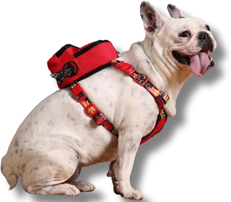 Gimme Five Kırmızı Çantalı Göğüs Tasması,Köpek Sırt Çantası – Göğüs Tasması İşlevli, Geri Dönüştürülmüş Malzeme, Ayarlanabilir, Çok Cepli, 5 Renk Seçenekli, Small Recycled