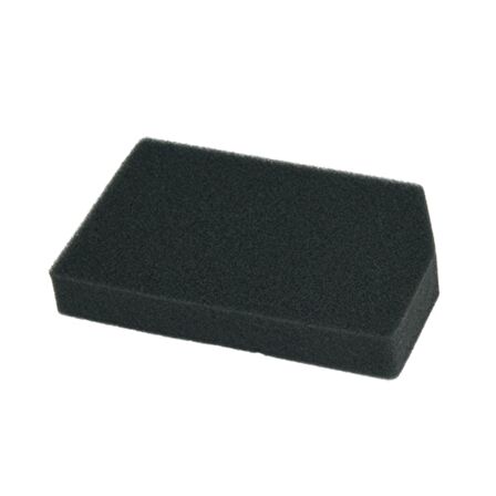 Rowenta Ergo Force Cyclonic Süpürge Sünger Filtre RS-RT4042