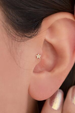 Gold Çelik Yıldız Piercing 6 mm Tragus Helix Kıkırdak Conch