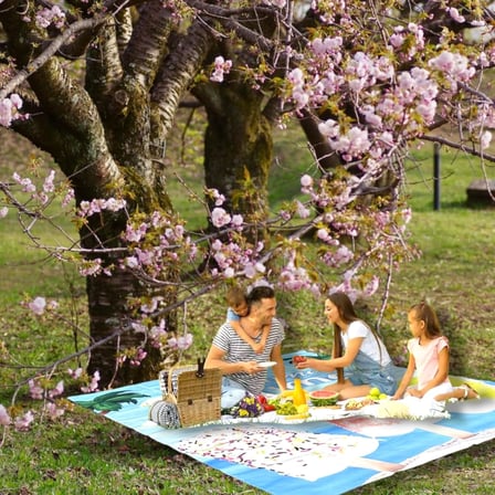 Plaj Havlusu, Piknik Örtüsü, Matı, Çantalı Hasırı, Kamp Battaniyesi, Katlanabilir, Hafif (Plaj Dondurması-Deniz Mavisil)