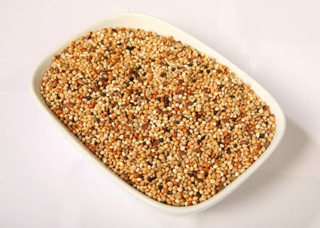 Karışık Muhabbet Kuşu Yemi, 3 Kg, Büyük Boy