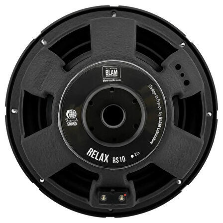 BLAM RS10.2 25cm Subwoofer