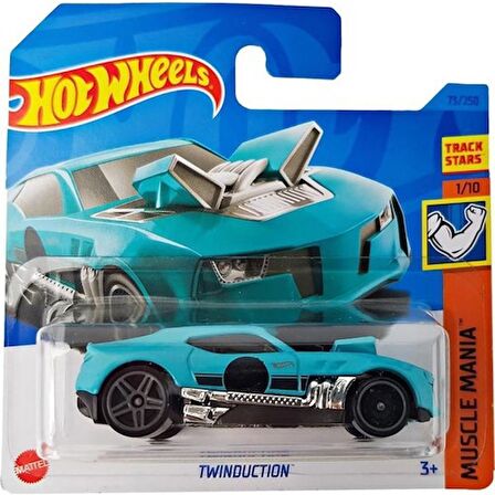 Hot Wheels Tekli Arabalar Twinduction HKH22