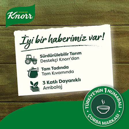 Knorr şehri̇yeli̇ Tavuk çorbası 51 Gr Paket (20 Adet)