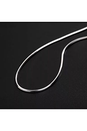 Paslanmaz Çelik Boru Yılan Sırtı Kolye 3mm Ml Unisex 60 Sm Uzatma