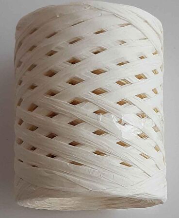 100 gr rafya ip (18 numara)