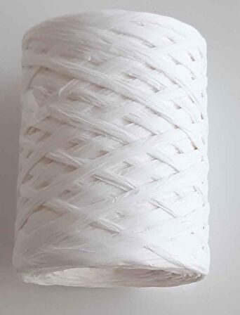 100 gr rafya ip (19 numara)